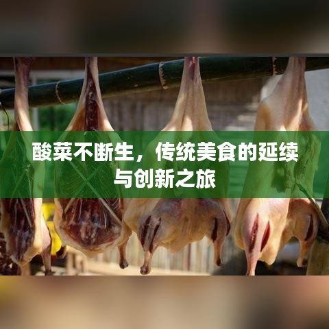 酸菜不断生，传统美食的延续与创新之旅