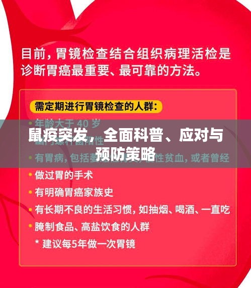 鼠疫突发，全面科普、应对与预防策略