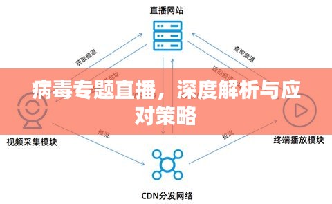 病毒专题直播，深度解析与应对策略
