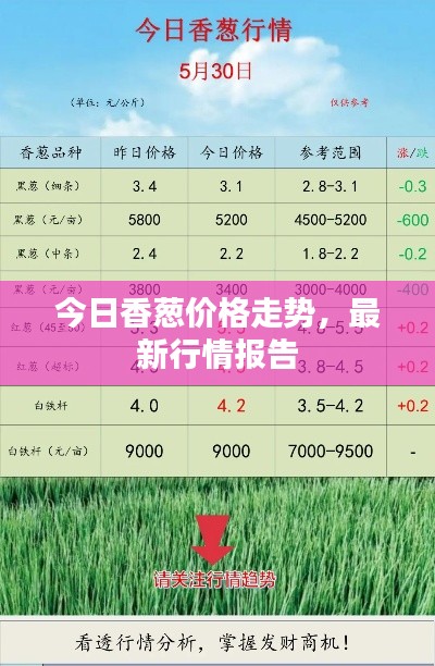 施工现场