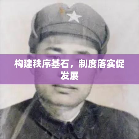 构建秩序基石，制度落实促发展