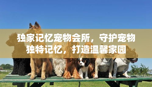 独家记忆宠物会所，守护宠物独特记忆，打造温馨家园