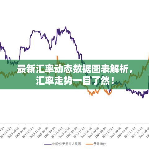 最新汇率动态数据图表解析，汇率走势一目了然！