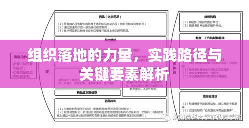 组织落地的力量，实践路径与关键要素解析