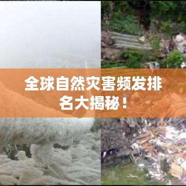 囊萤映雪