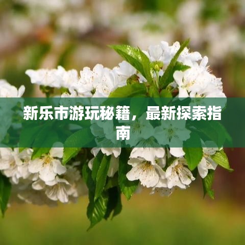 新乐市游玩秘籍，最新探索指南