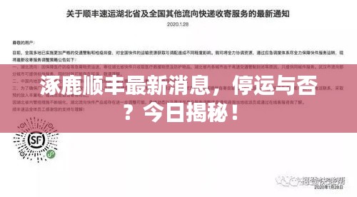 2025年6月7日