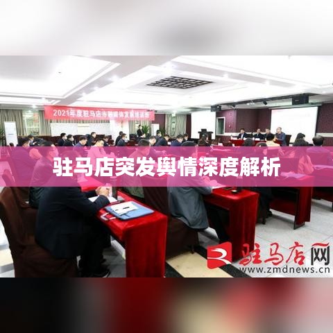 驻马店突发舆情深度解析