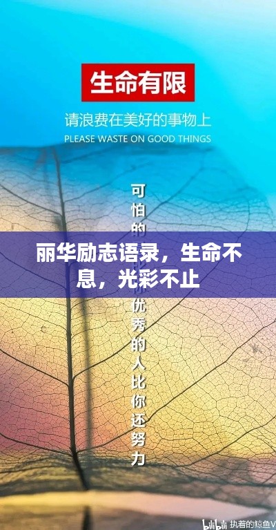 丽华励志语录，生命不息，光彩不止