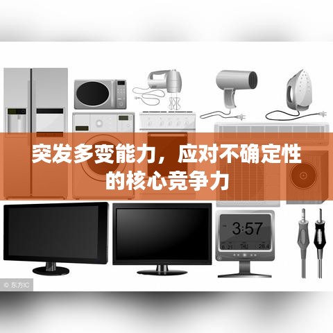 2025年6月11日