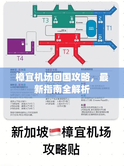樟宜机场回国攻略，最新指南全解析