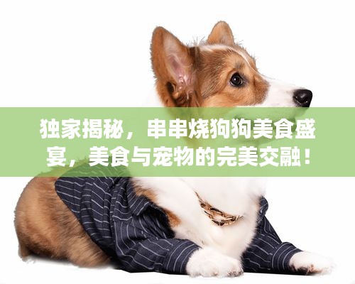 独家揭秘，串串烧狗狗美食盛宴，美食与宠物的完美交融！