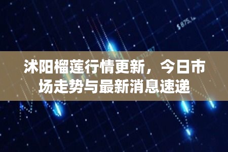 2025年6月27日