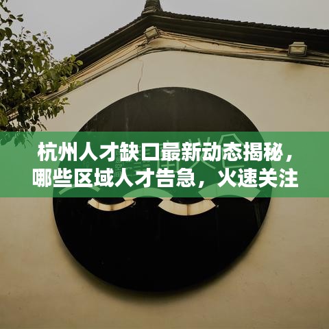 杭州人才缺口最新动态揭秘，哪些区域人才告急，火速关注！