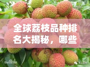全球荔枝品种排名大揭秘，哪些品种独占鳌头？