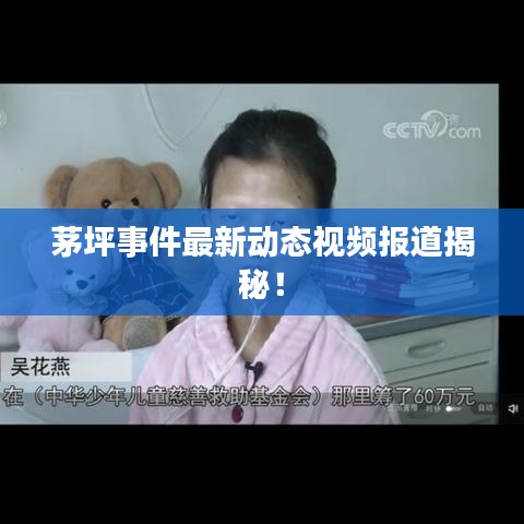 茅坪事件最新动态视频报道揭秘！