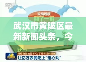 武汉市黄陂区最新新闻头条，今日聚焦