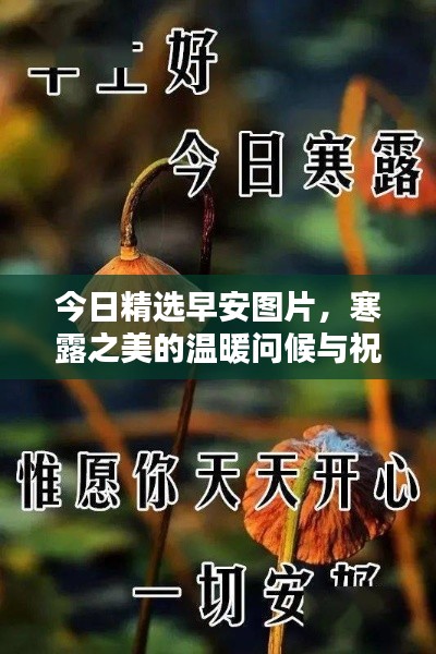 今日精选早安图片，寒露之美的温暖问候与祝福图片