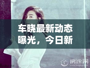 车晓最新动态曝光，今日新闻抢先看
