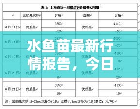 水鱼苗最新行情报告，今日价格走势揭秘